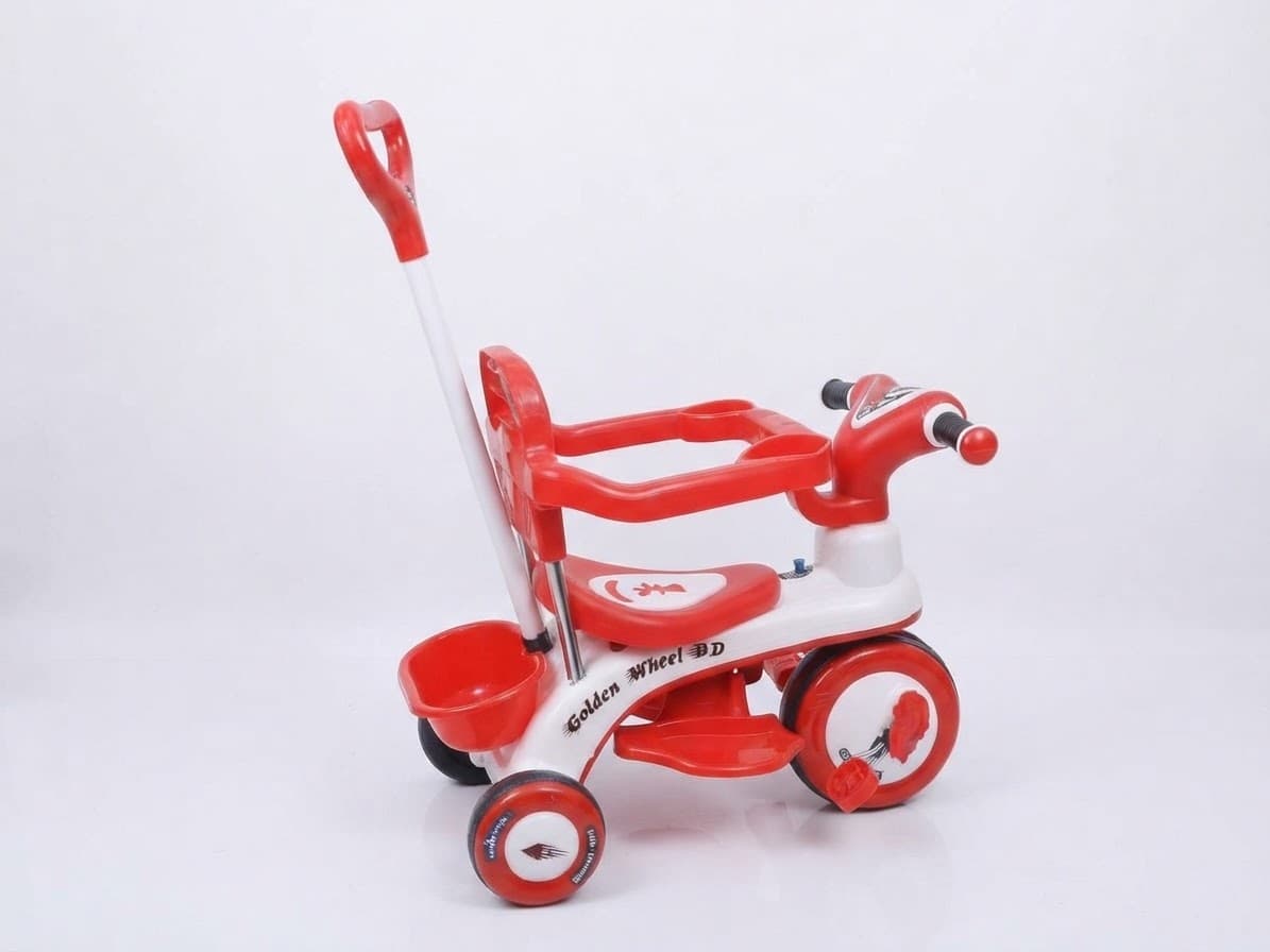 Golden Wheel Safety Try Cycle D4 2