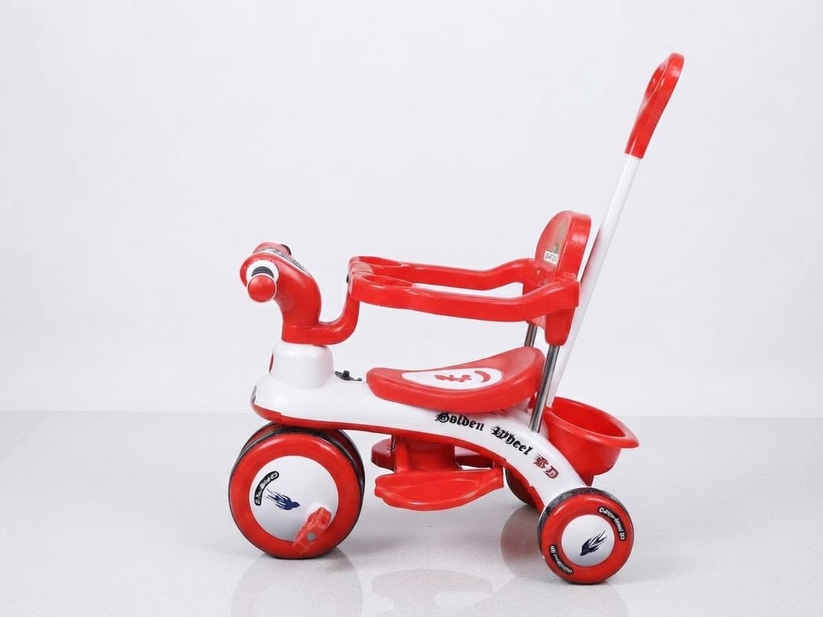 Golden Wheel Safety Try Cycle D4 3