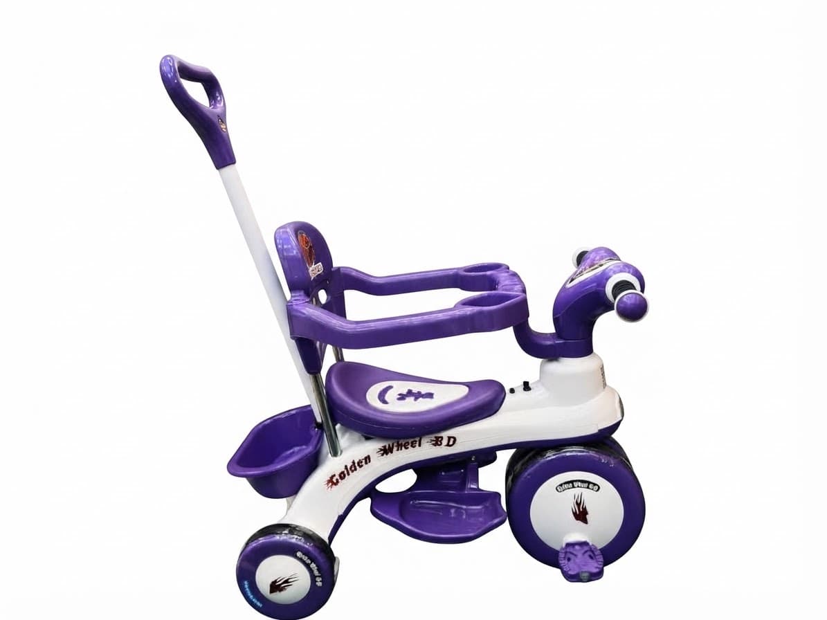 Golden Wheel Safety Try Cycle D4 2